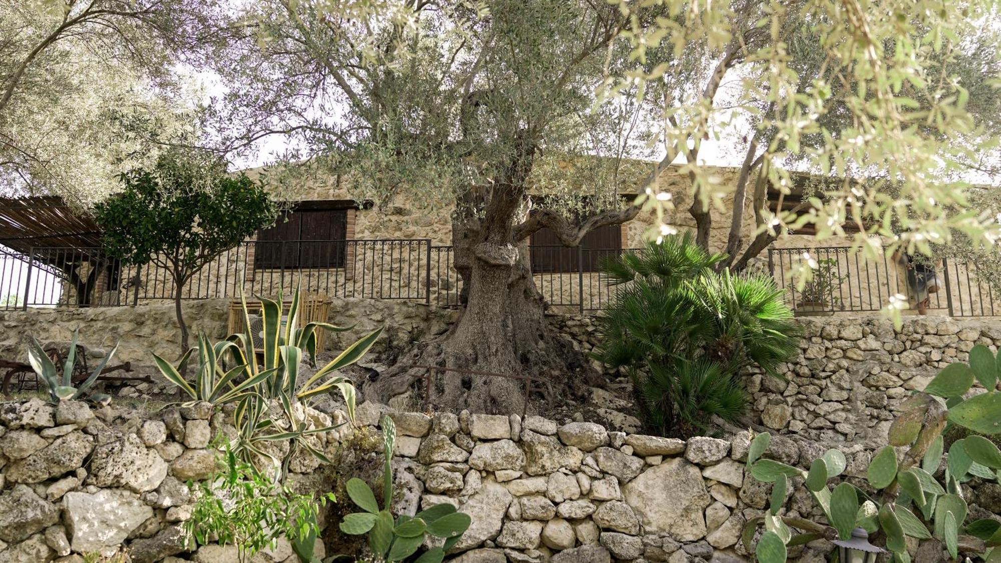 Roba Degli Ulivi Bed and Breakfast Agrigento Eksteriør billede