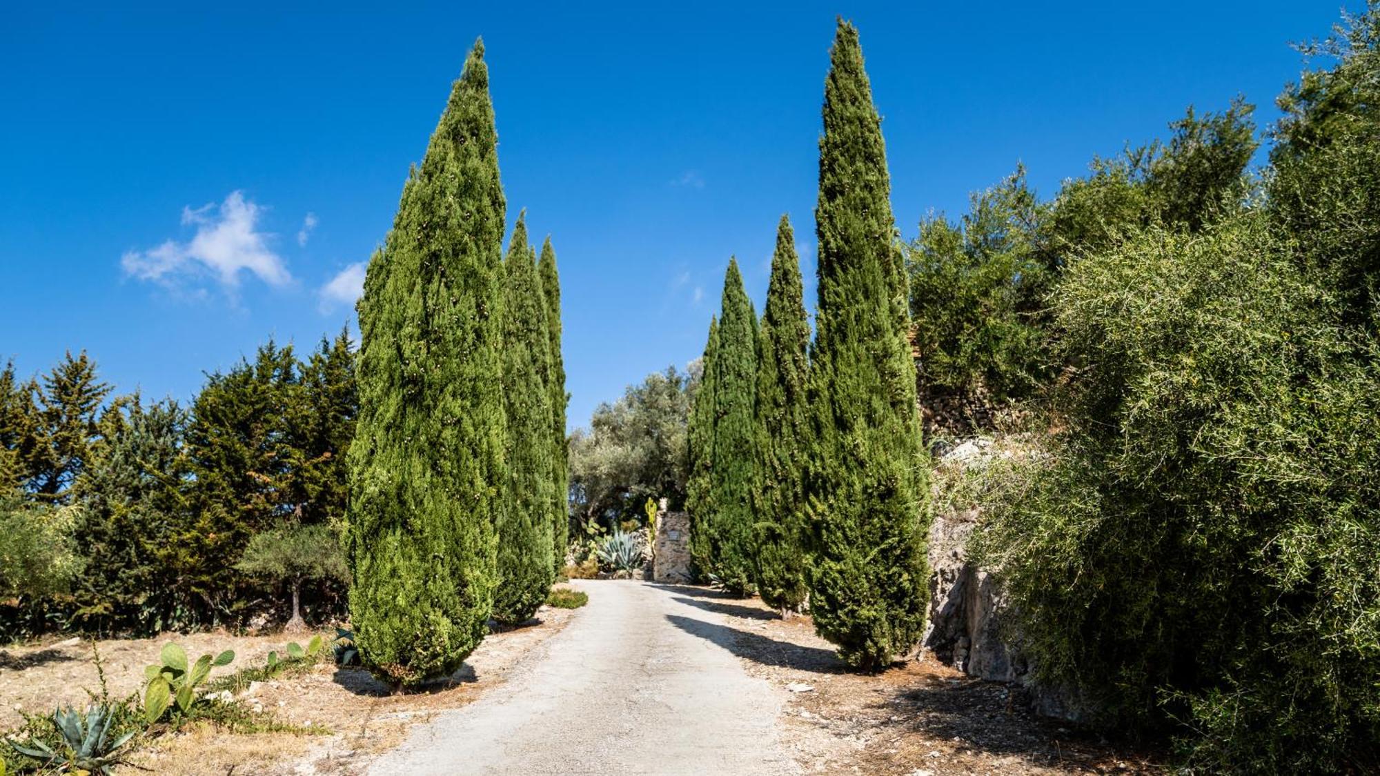 Roba Degli Ulivi Bed and Breakfast Agrigento Eksteriør billede