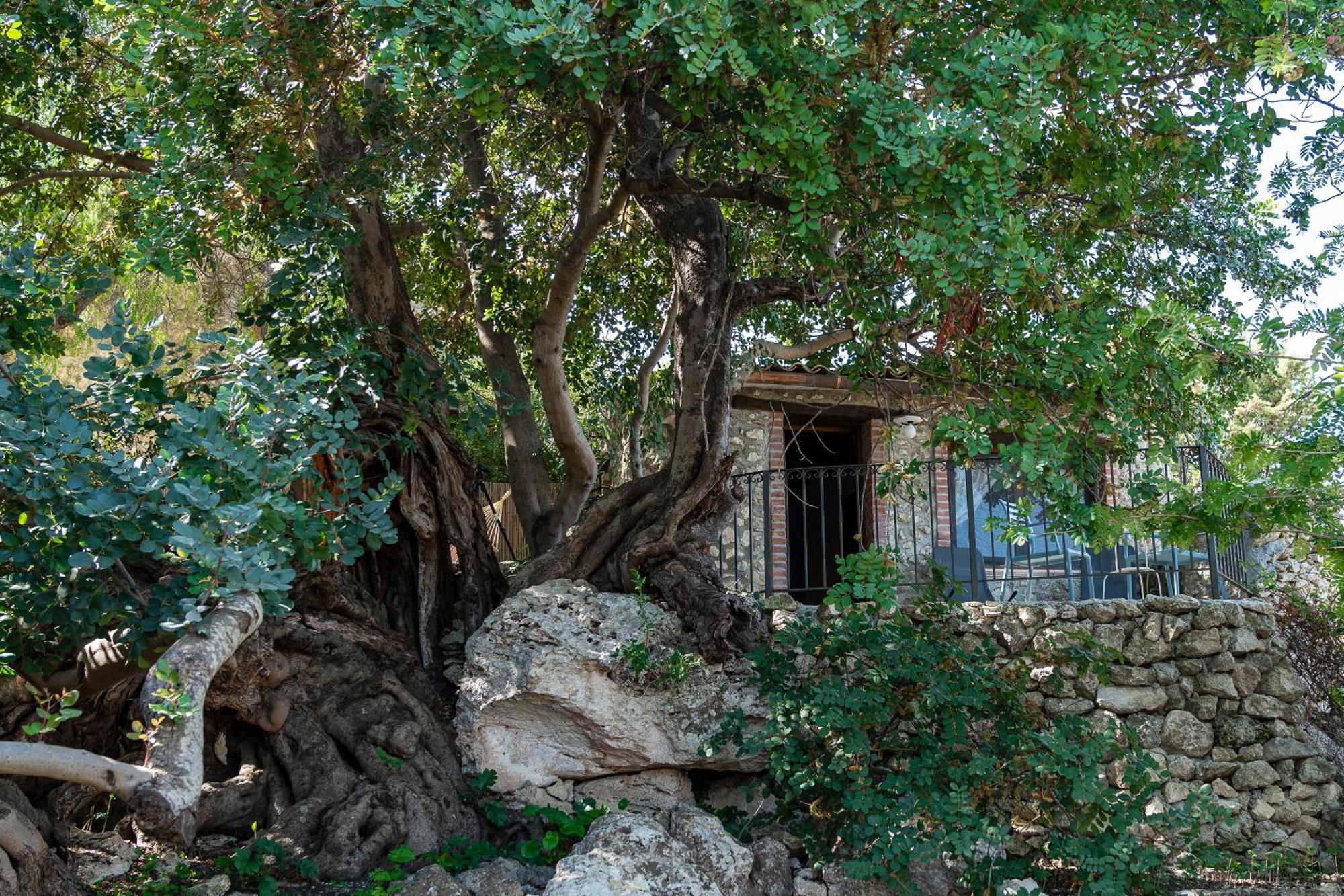 Roba Degli Ulivi Bed and Breakfast Agrigento Eksteriør billede