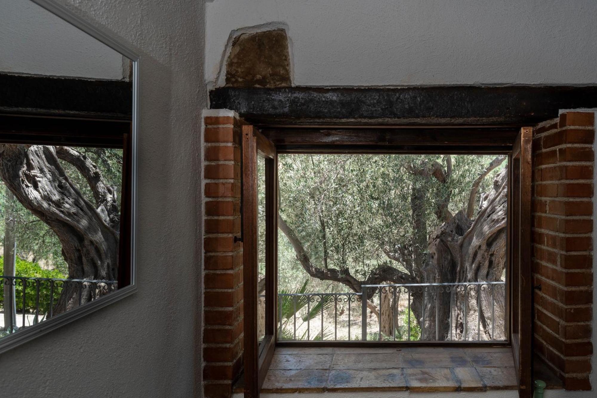 Roba Degli Ulivi Bed and Breakfast Agrigento Eksteriør billede